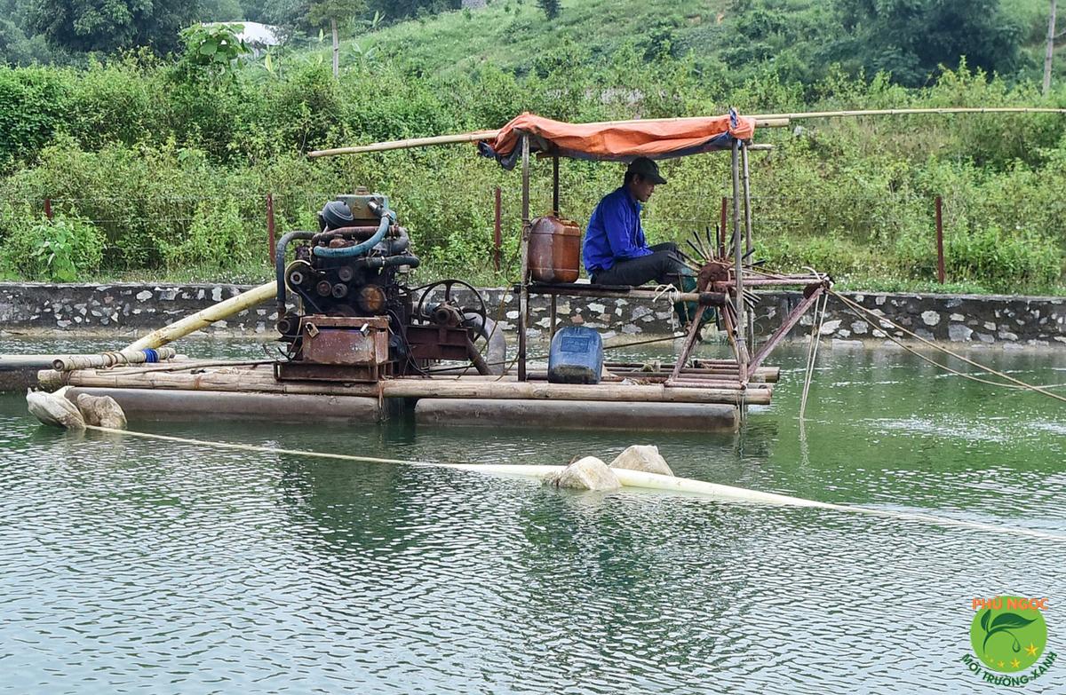 Hồ nước trong xanh sau khi đã được tổng vệ sinh