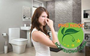 Đầy hầm cầu gây ra những mùi hôi khó chịu