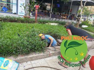 Thông cống nghẹt Phú Ngọc là đơn vị vệ sinh uy tín trên thị trường